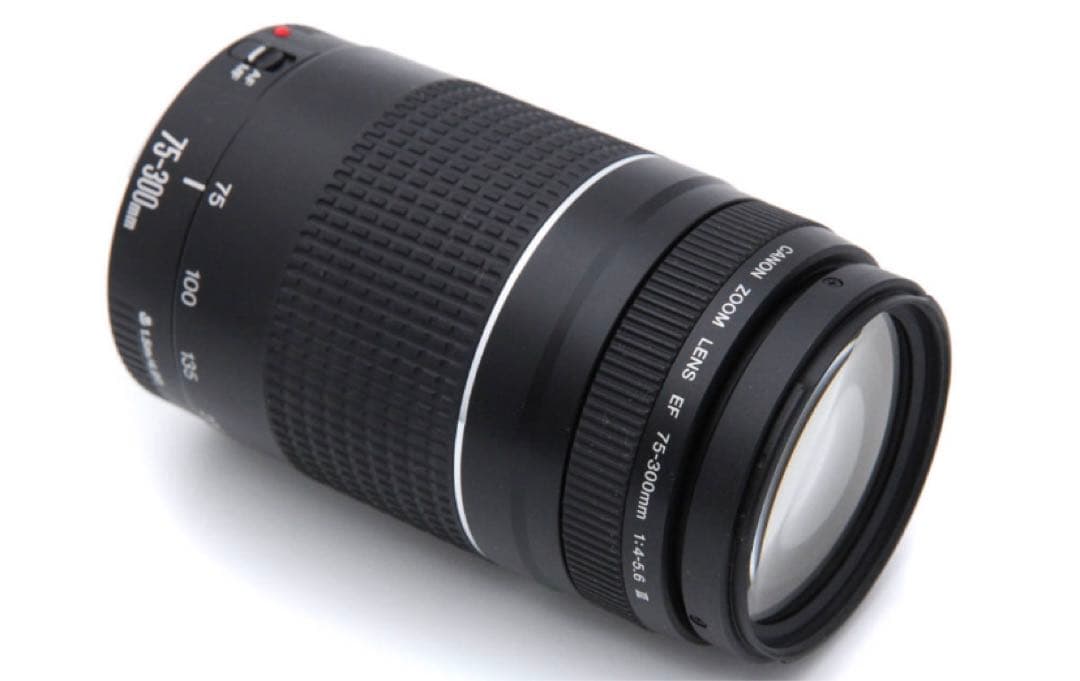 人気の300㎜　キャノン超望遠レンズ　　Canon EF75-300㎜
