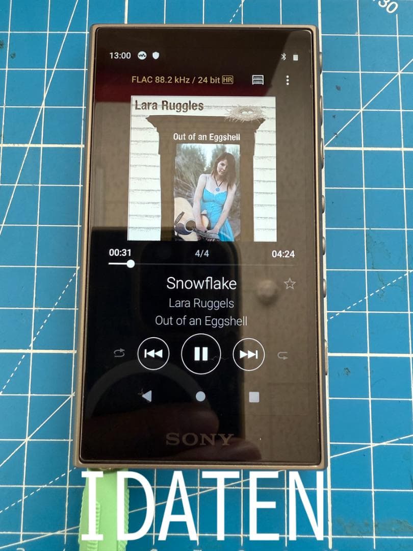 Sony Walkman NW-A106/GC デジタルメディアプレーヤー