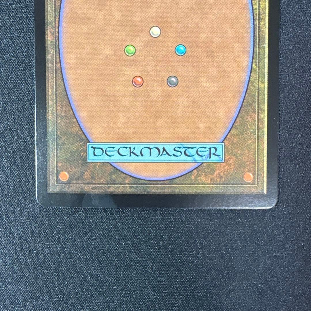 MTG ラノワールのエルフ　フラクチャーfoil　日本語版