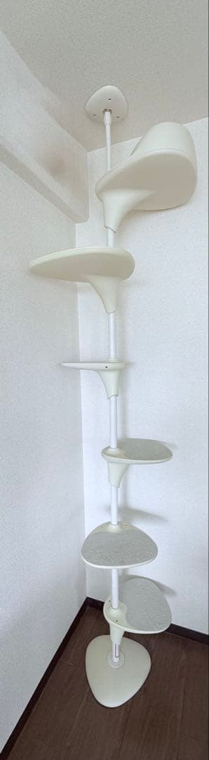 キャットフォレスト　ホワイト　OPPO