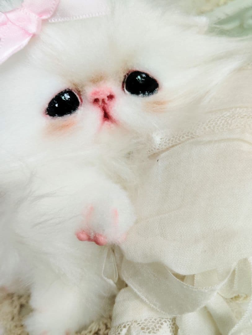 可愛いキャンディちゃん❤エキゾチック子猫ちゃん♡アートドール♡ぬいぐるみ♡