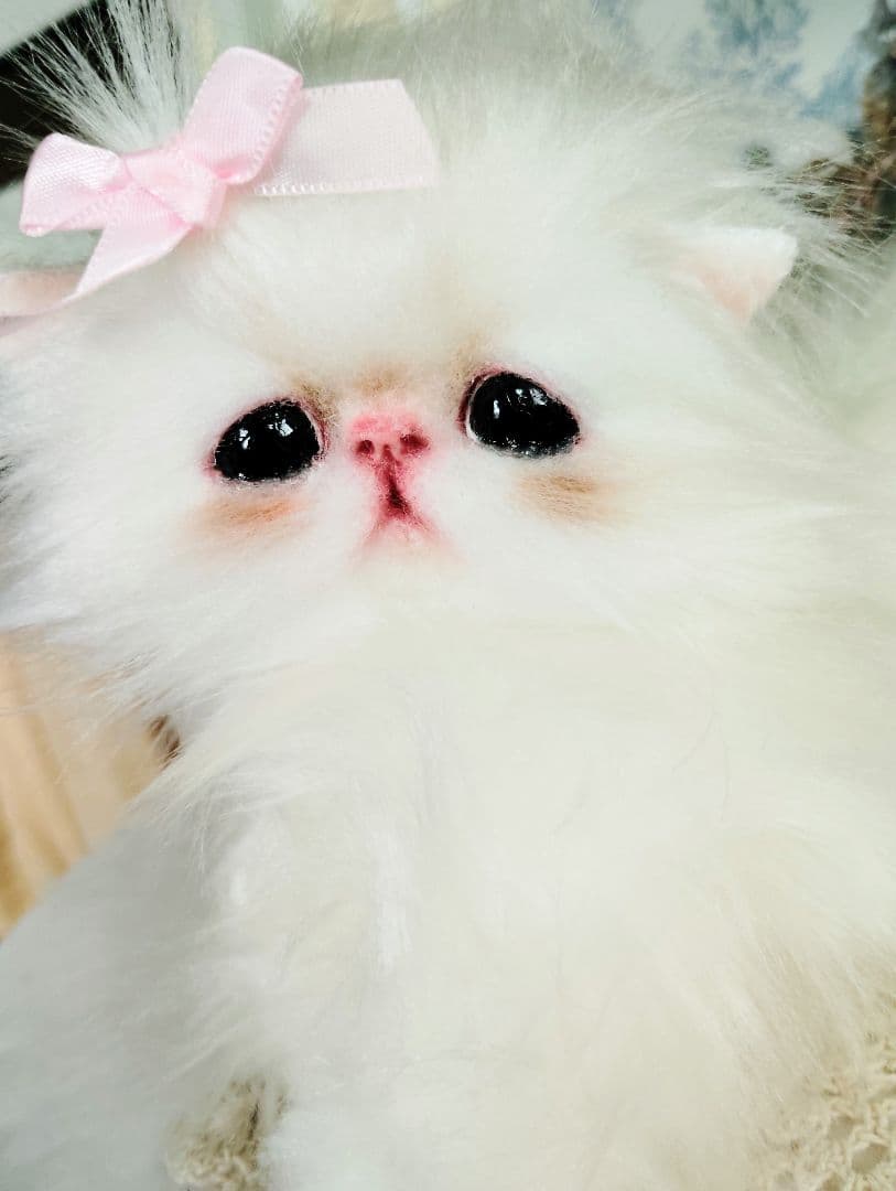 可愛いキャンディちゃん❤エキゾチック子猫ちゃん♡アートドール♡ぬいぐるみ♡