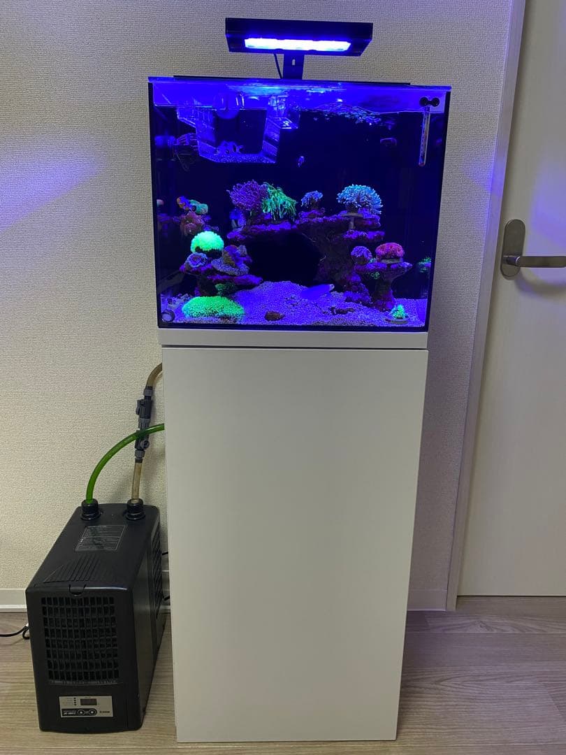 【引取限定】SHELL2 その他飼育セット