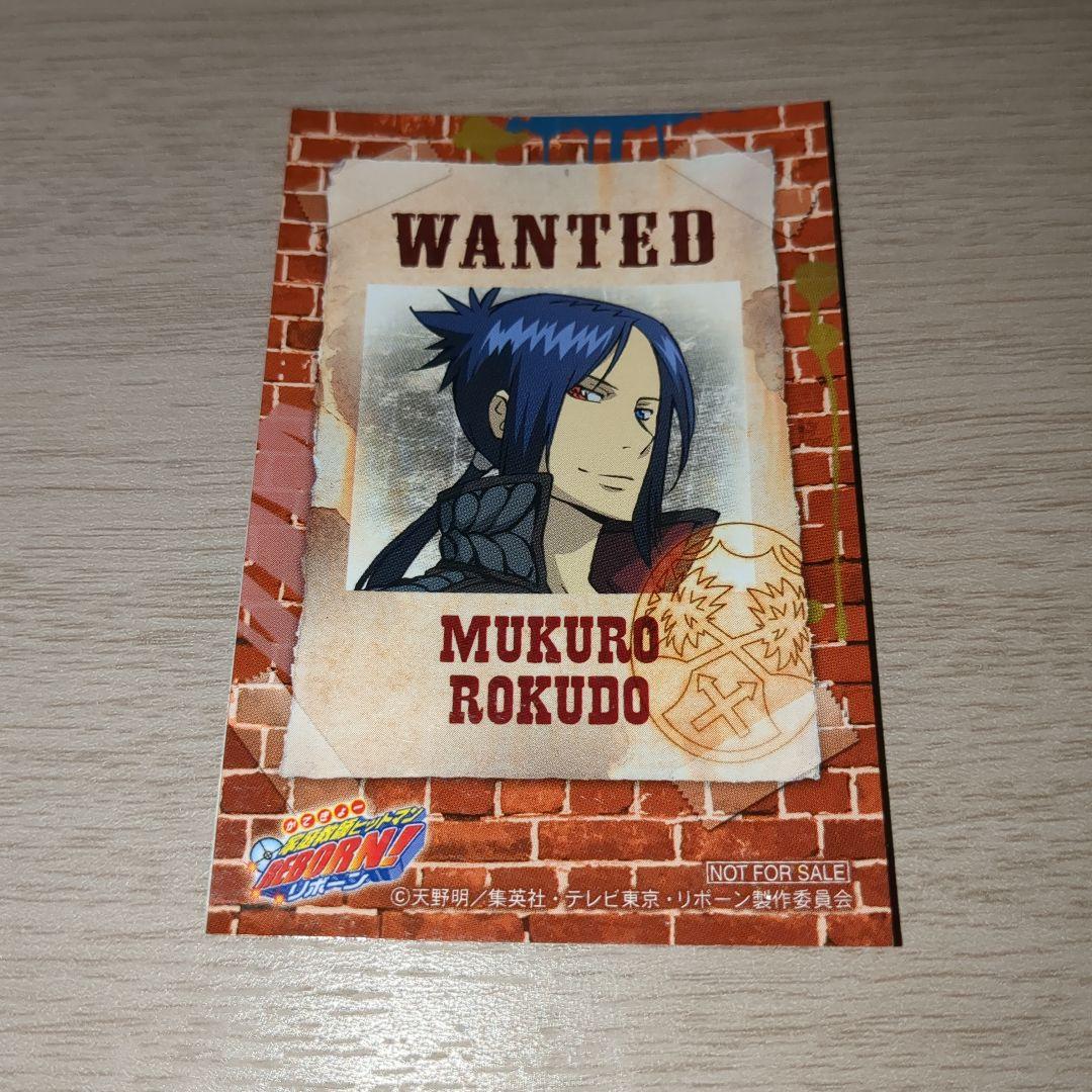 家庭教師ヒットマンREBORN!　ステッカーカードコンプセット　アニメイト特典