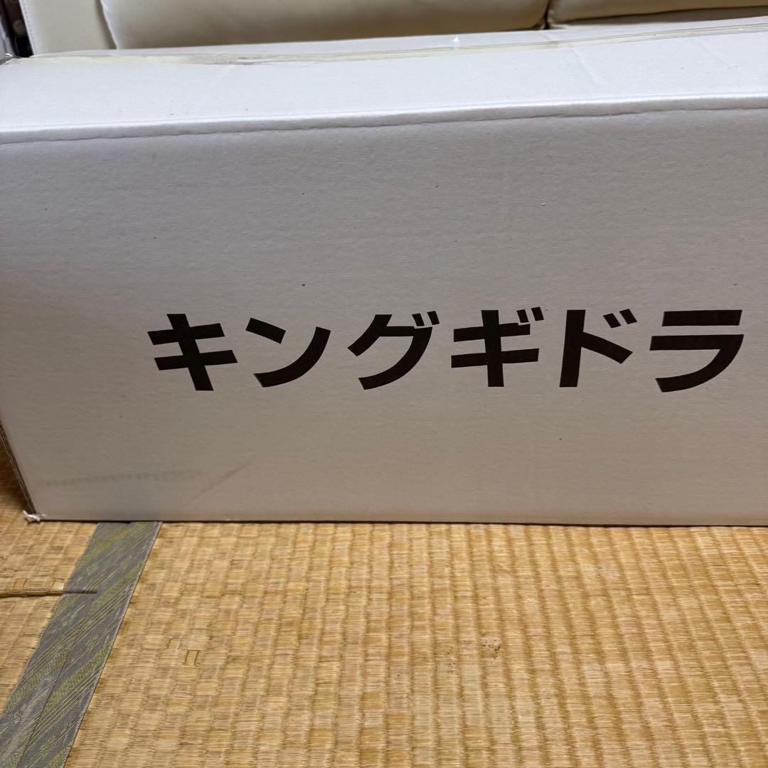 東宝怪獣シリーズ 巨大リアルフィギュア ゴジラ対キングギドラ
