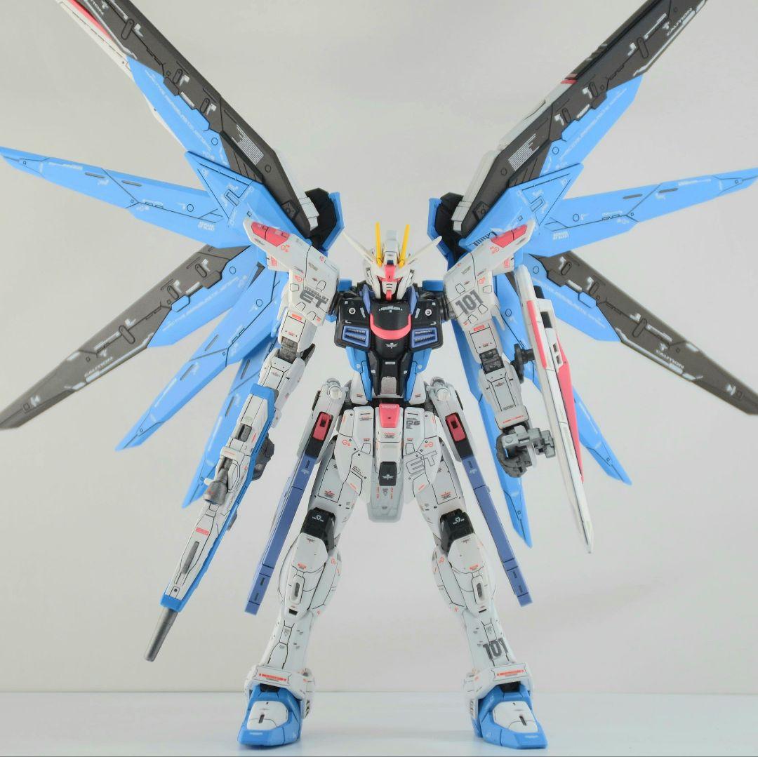 RG フリーダムガンダム 塗装 完成品 バンダイ ガンプラ 1/144