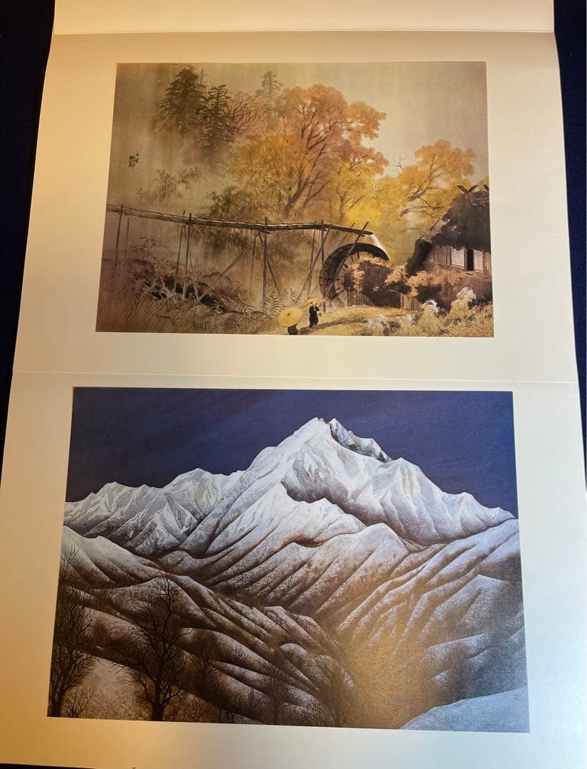 【墨研】ok0330 ◆豪華本2点まとめて 風景画・花鳥画◆美術画 日本画