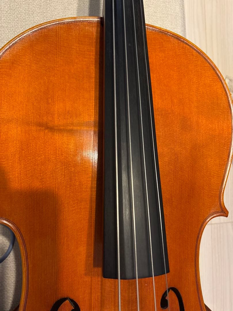 チェロ　Carlo Giordano SC-300