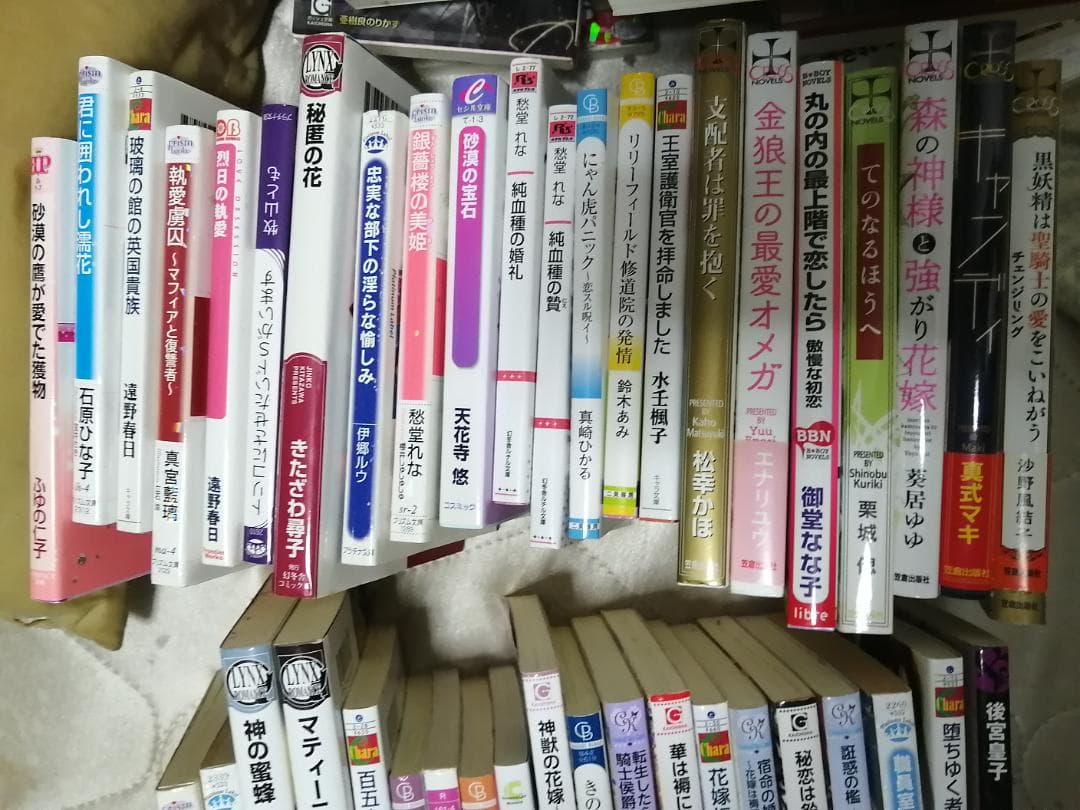 BL小説 161冊 まとめ売り