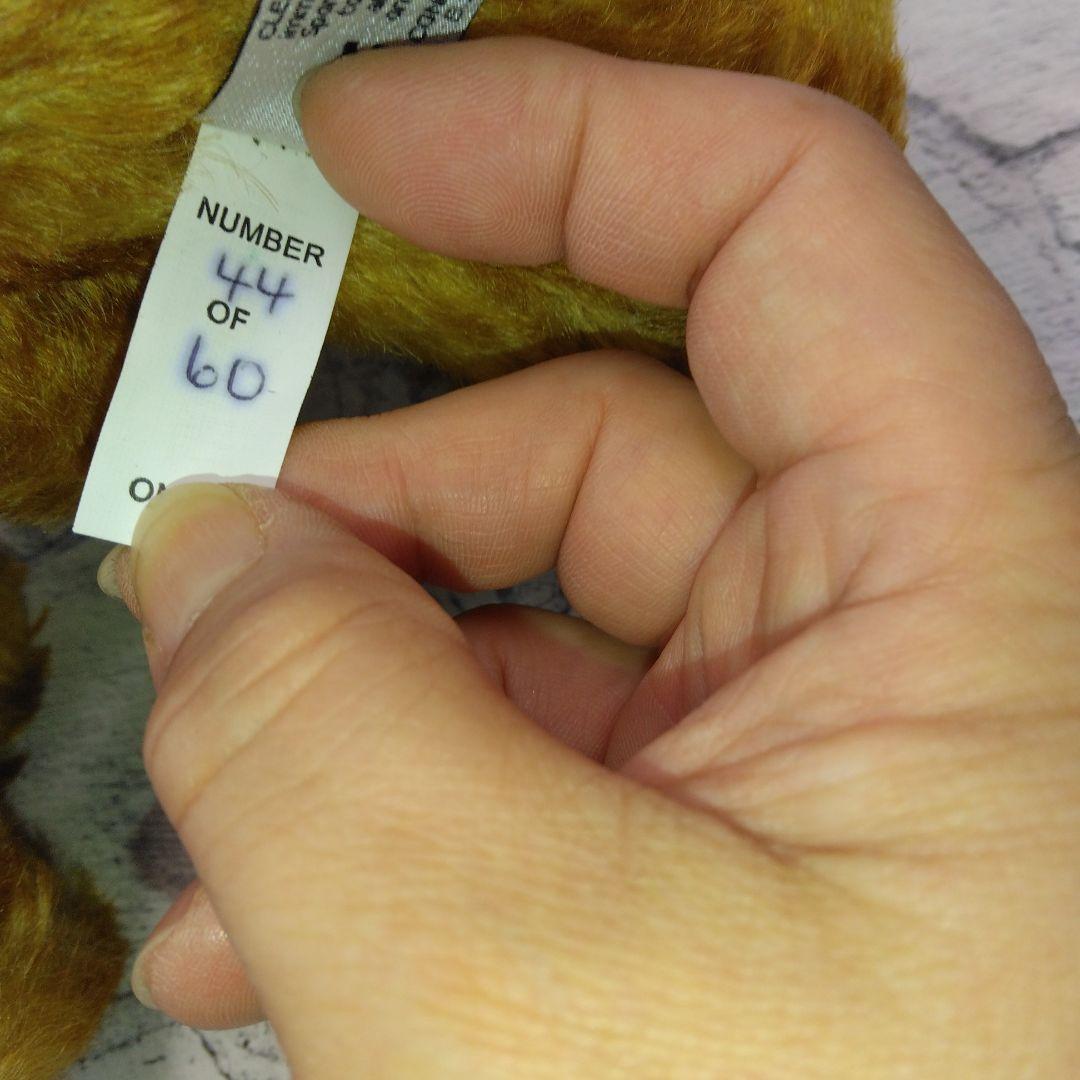 かなり希少！メリーソートまだらチーキー