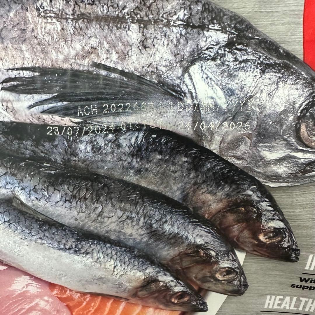 Orijen オリジン スモール ブリードパピー 4.5kg 小型犬の子犬対象