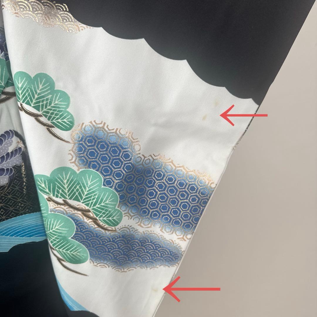 2905★少々シミに付き特価★五歳セット