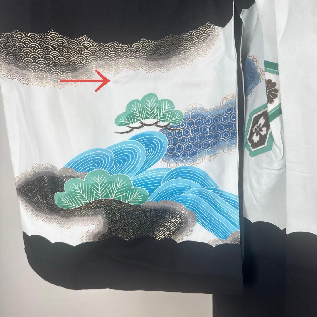 2905★少々シミに付き特価★五歳セット