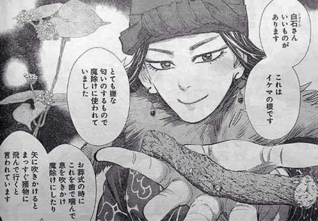 金カム　ゴールデンカムイ　イケマの根　★おまけ付★