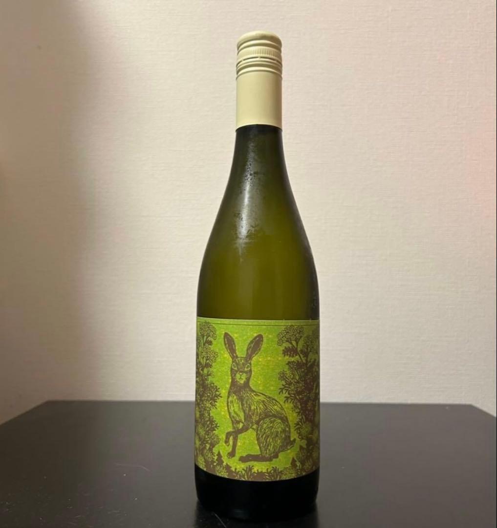 専用　KUMA Kids 橙　norapon blanc 2024 2本セット