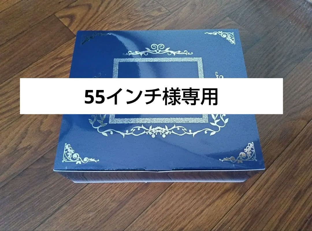55インチ eterrite AURAMAGE トライアルセット