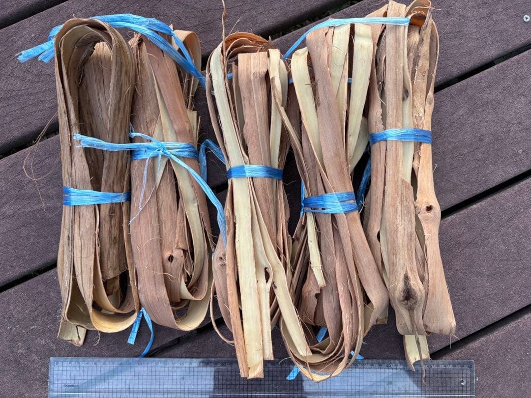 岩手県産山葡萄　樹皮　S級