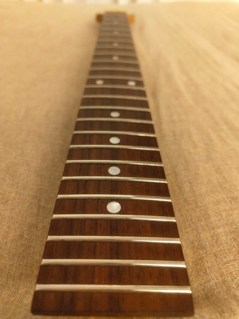 FERNANDES ターゲットMGT-48 モッキンバード ケース付き