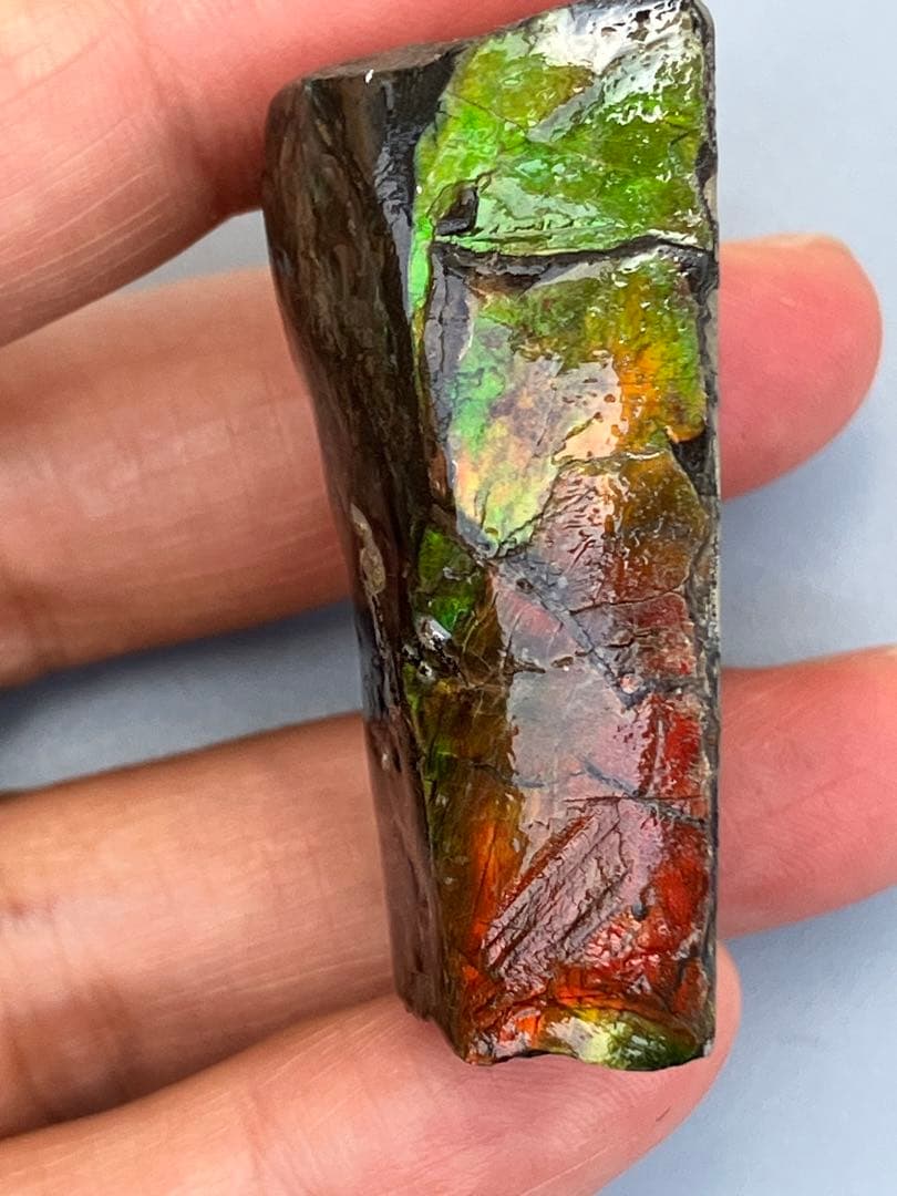 化石　原石　アンモライト　アンモナイト　カナダ産　幅4.1cm 置物　箱付き