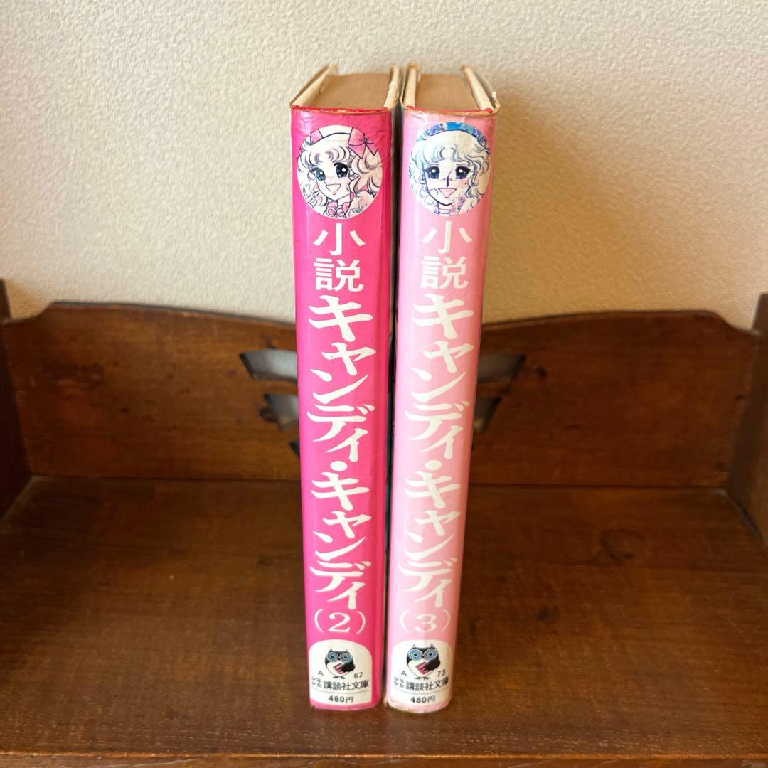【絶版】小説キャンディ•キャンディ② 、③最終巻 水木杏子　いがらしゆみこ