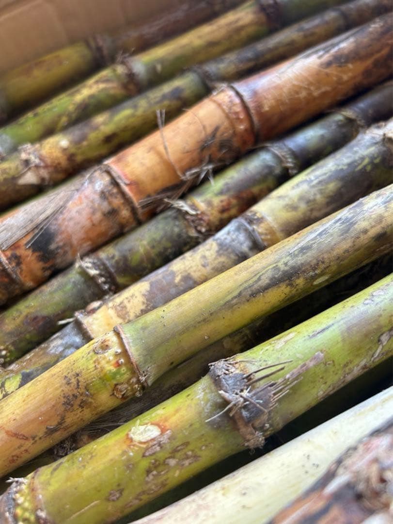 業務用 電動式 サトウキビジュースマシン サトウキビジューサー機サトウキビ搾汁機