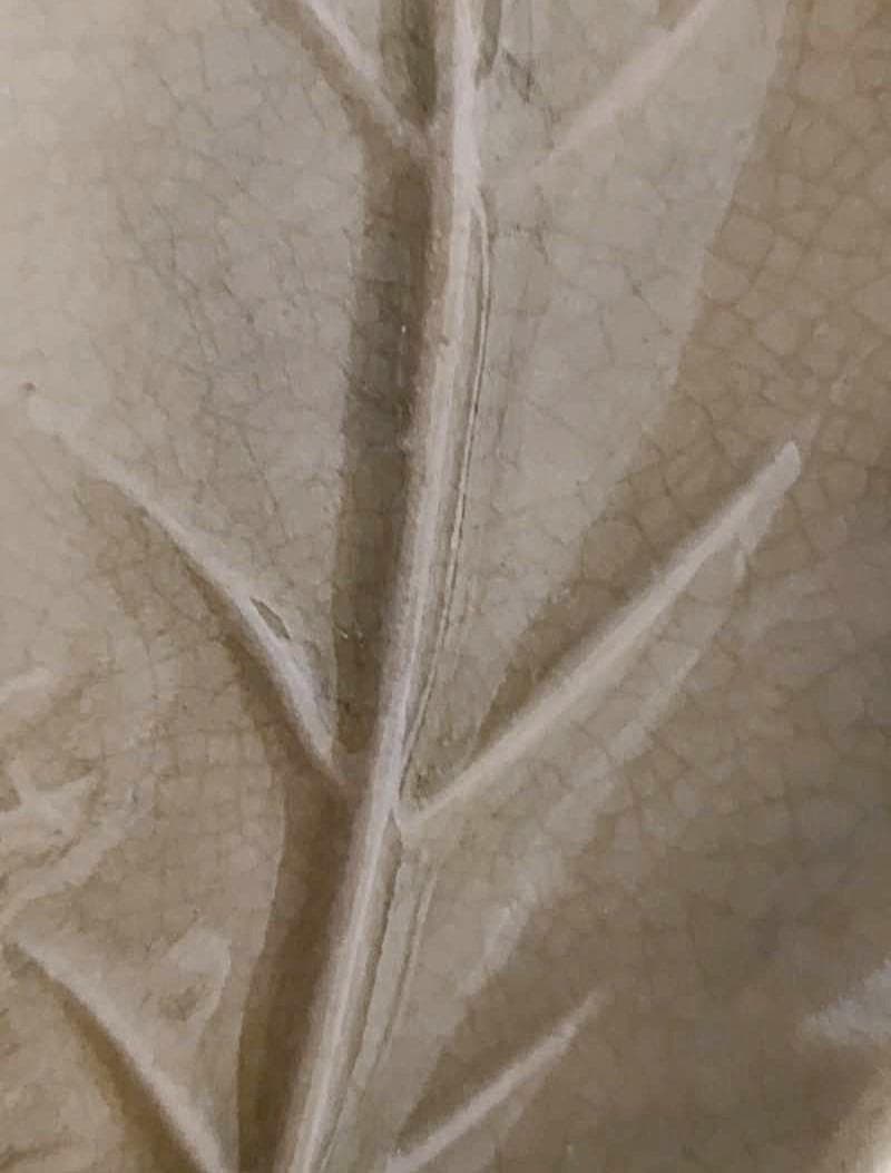 Edo/江戸初期～金継ぎ御深井焼 ～本漆・螺鈿入り葉形向付皿（青磁調釉薬＋貫入）