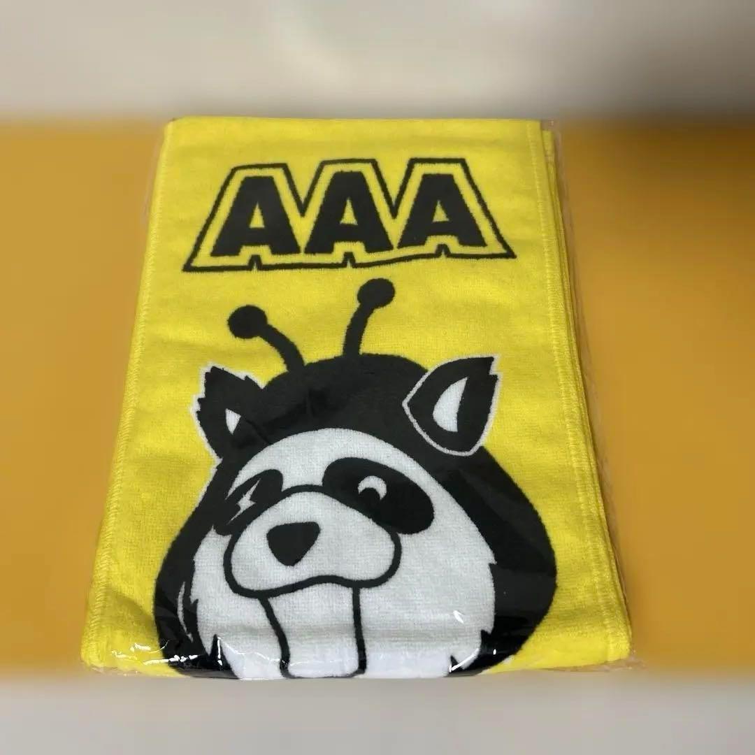 AAAグッズ 17点まとめ売り 「パンフ、ファイル、タオル、Tシャツ、他」