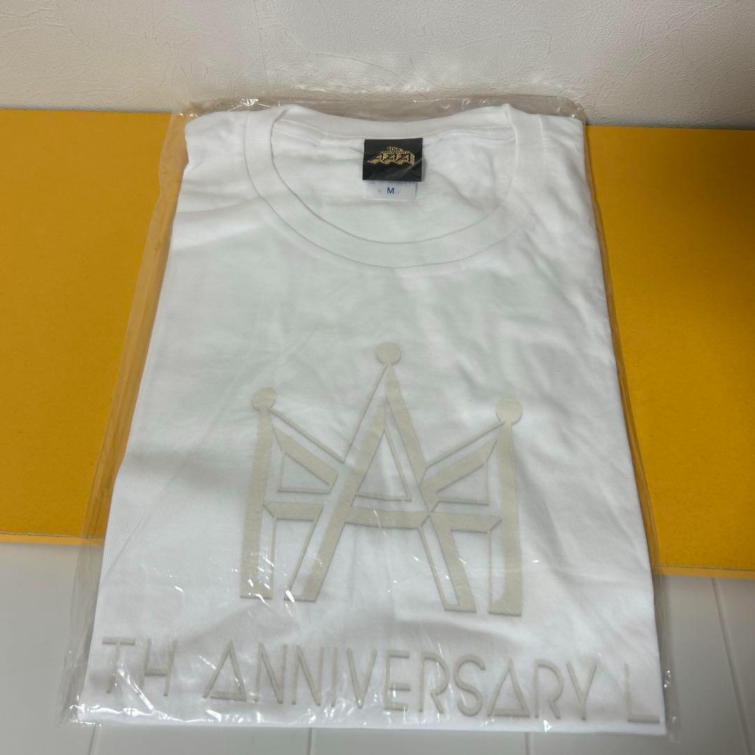 AAAグッズ 17点まとめ売り 「パンフ、ファイル、タオル、Tシャツ、他」