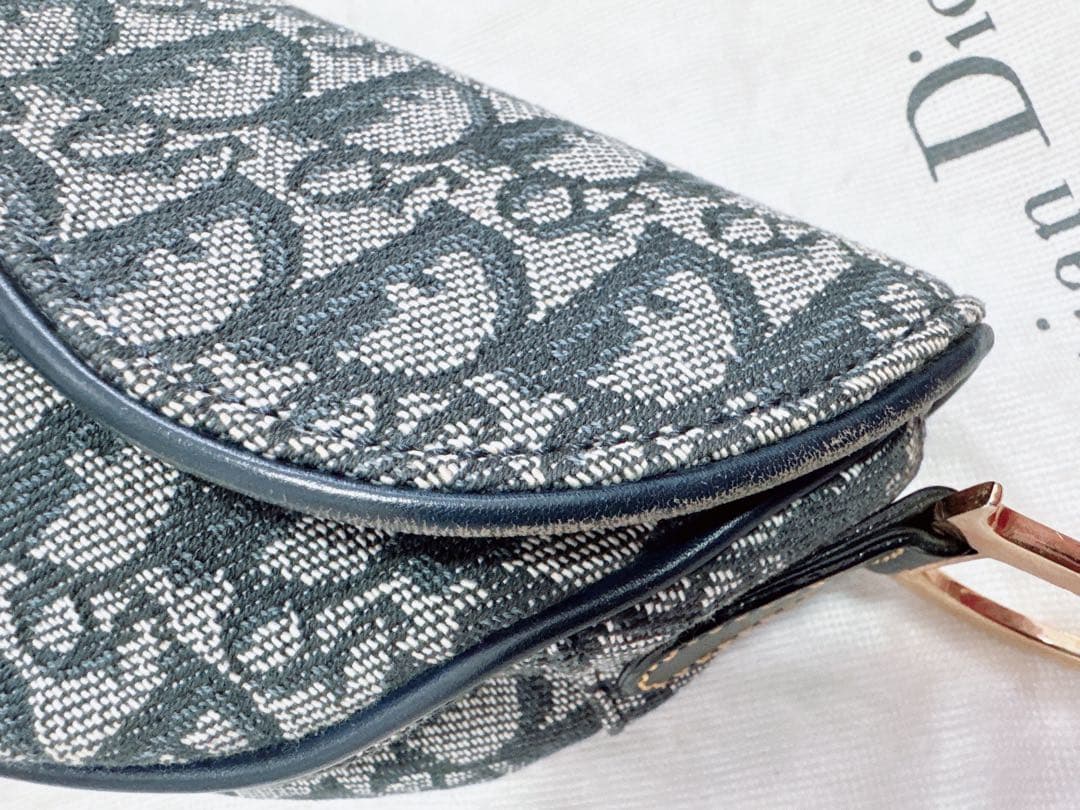 Christian Dior サドルバッグトロッター ワンショルダーバッグG金具