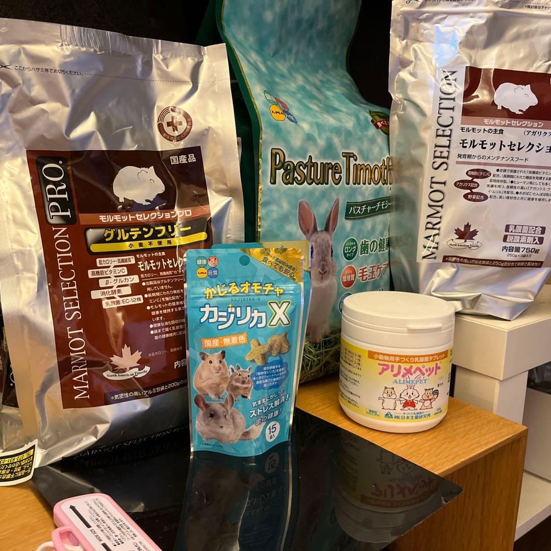 モルモット用飼育セット