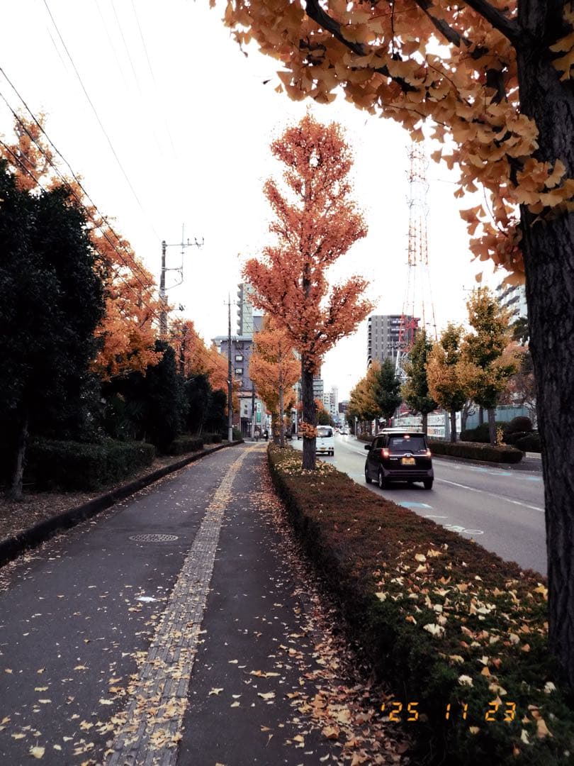 Fujifilm X-HALF 本体とSmallRigアクセサリー