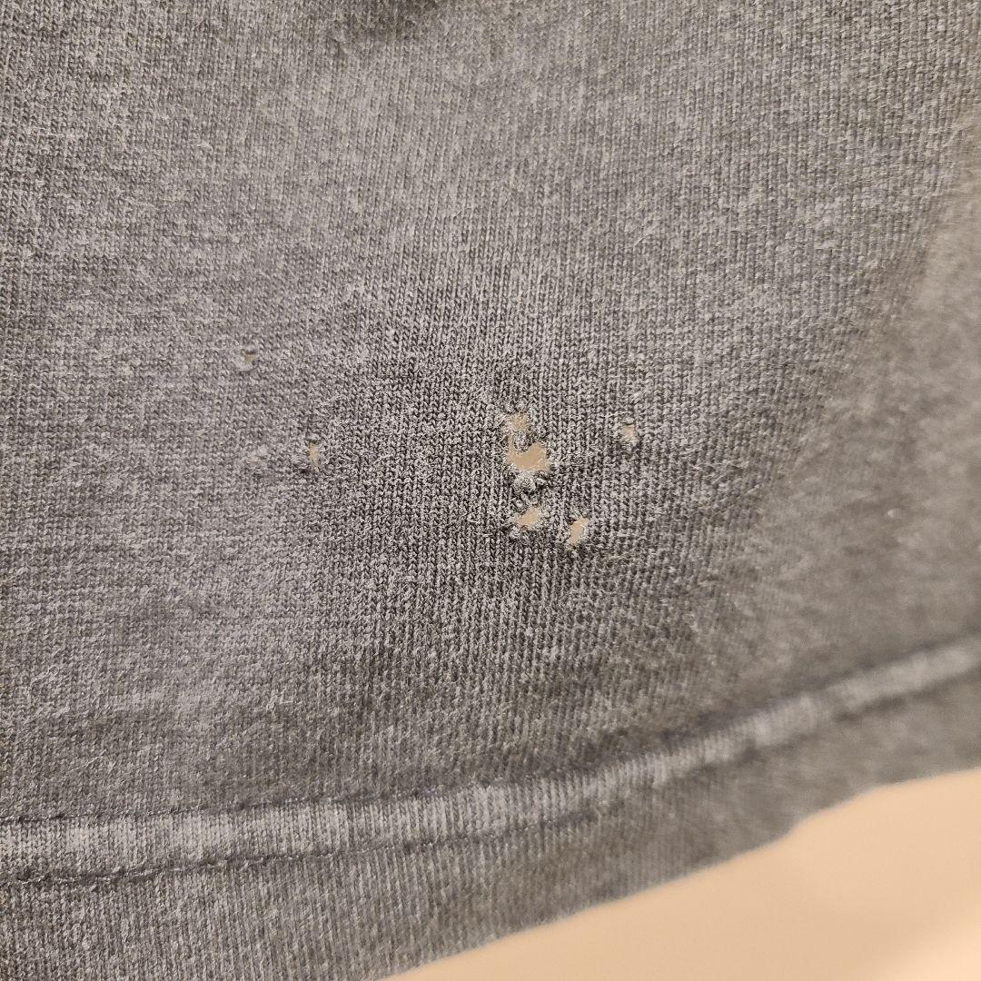 【フェード】SANTA CRUZ ×Tシャツ