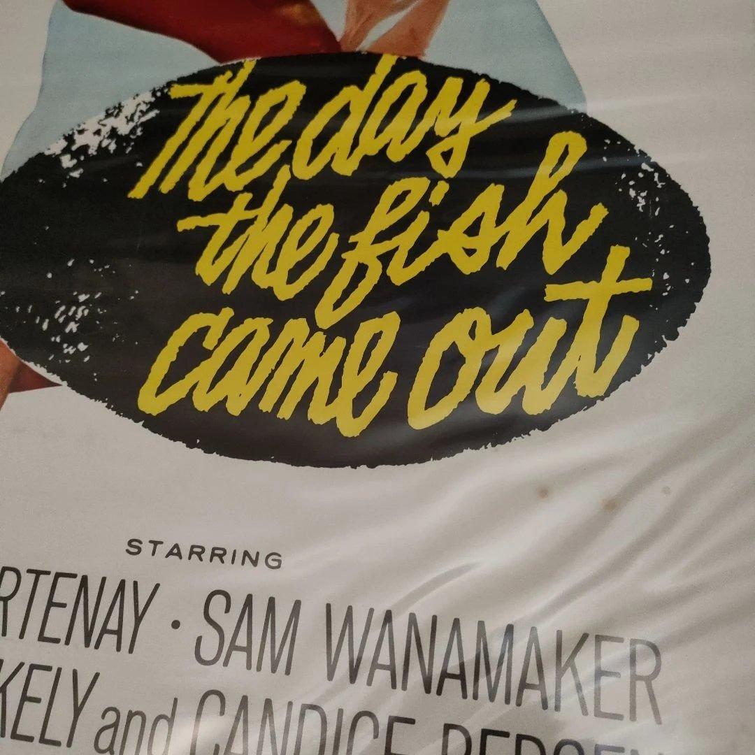 映画「魚が出てきた日」US版インサートサイズポスター