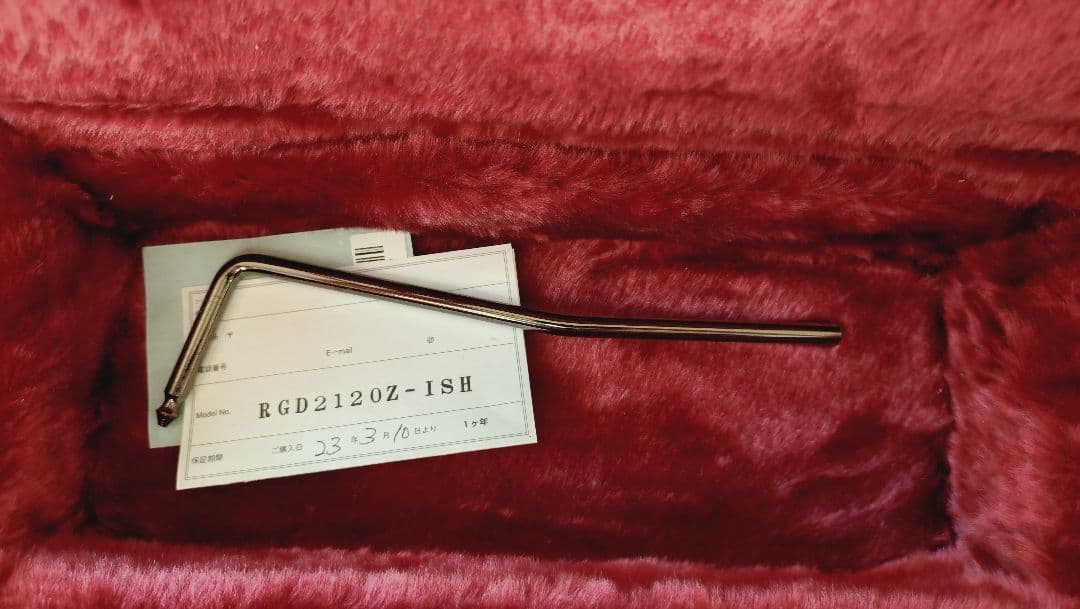 Ibanez ギター　RGD2120Z