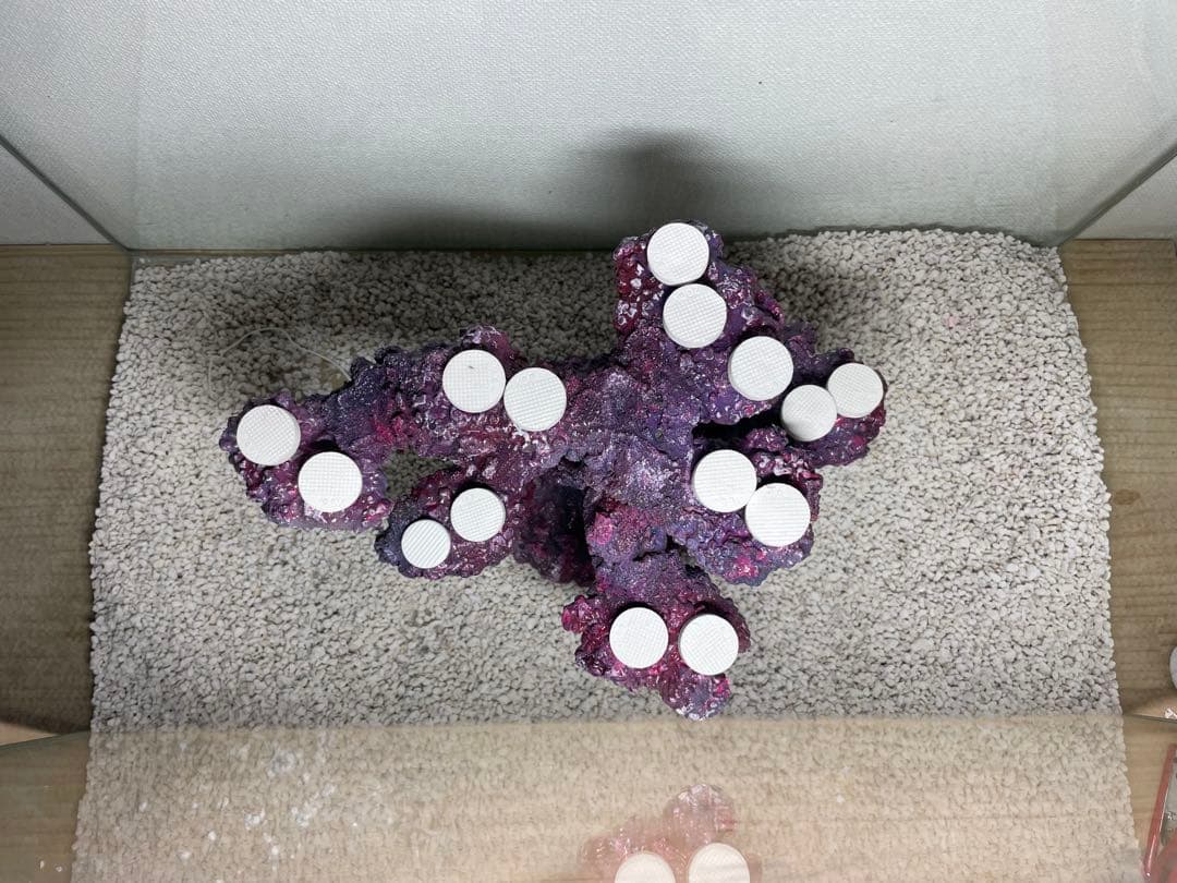 【送料無料】人工ライブロック　PHR17／15穴加工　アク抜き済み安心塗料使用