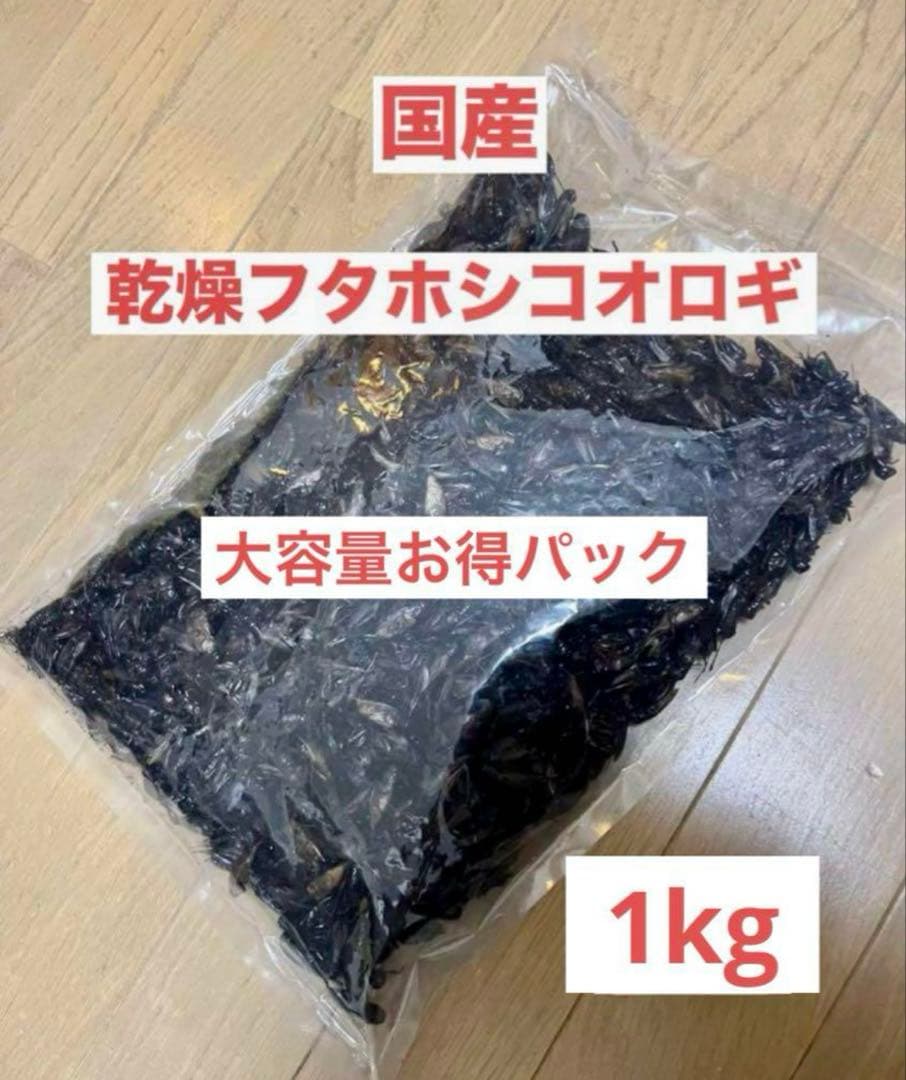 大特価⭐︎国産養殖　乾燥フタホシコオロギ　1kg