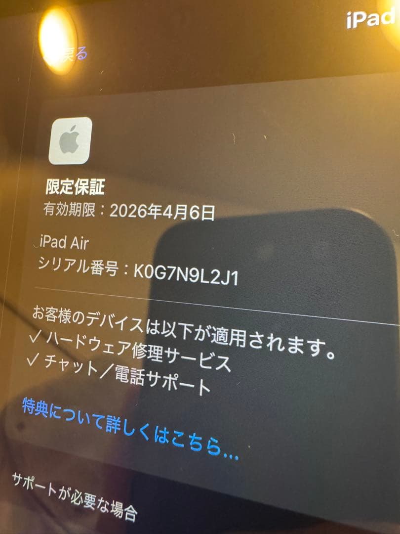 13インチ　iPad Air (M3)128GB グレー　アップルペンシルプロ