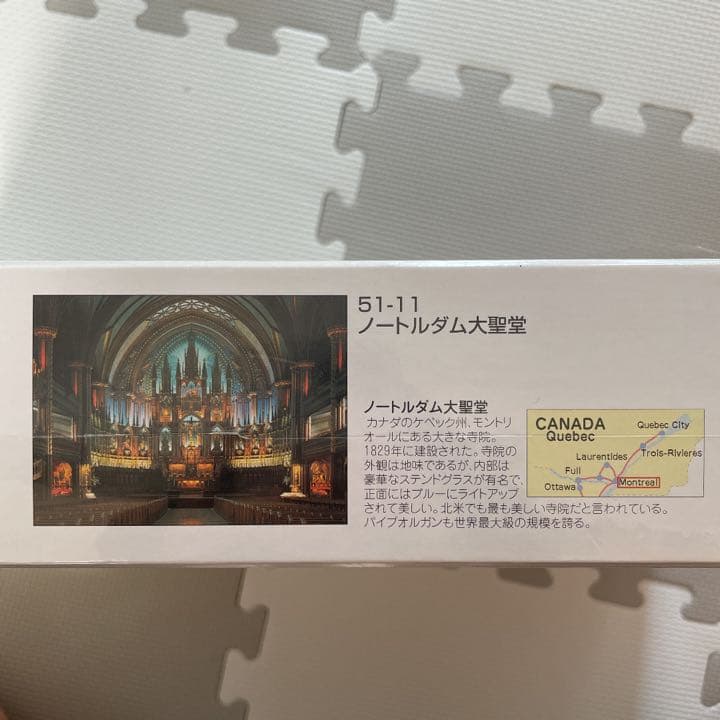 ジグソーパズル5146P＊ノートルダム大聖堂カナダ