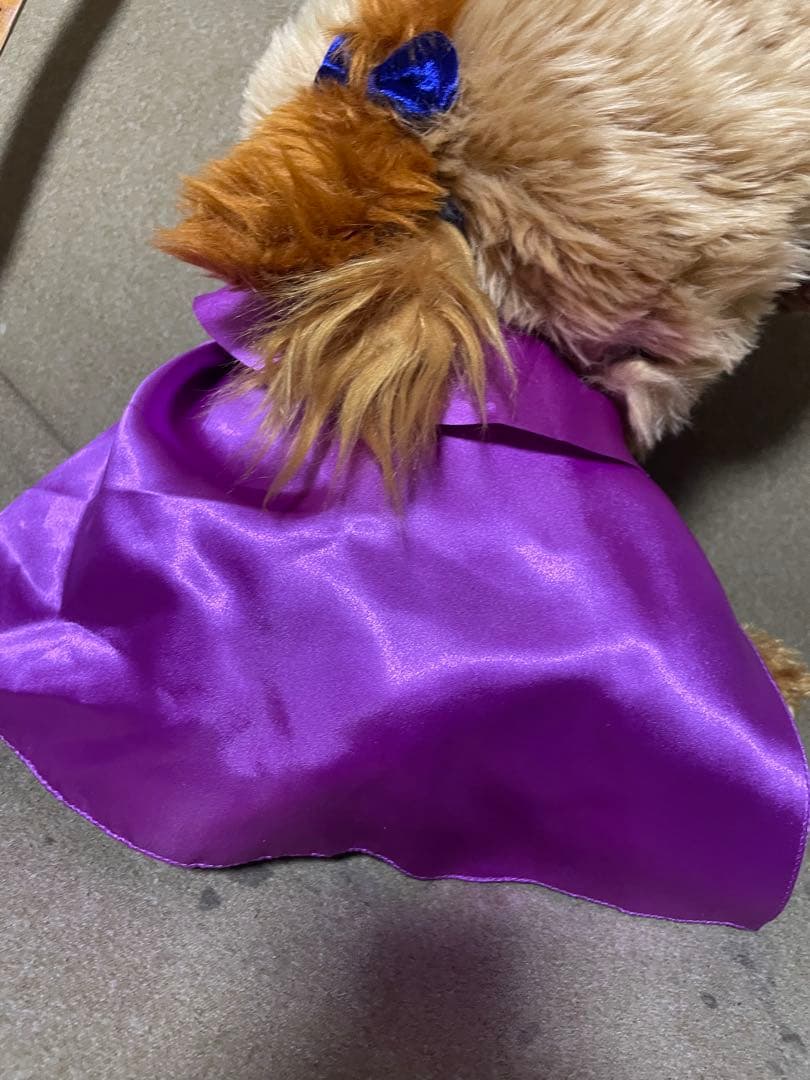 ユニベアシティ　美女と野獣　ぬいぐるみ　コスチュームセット　公式