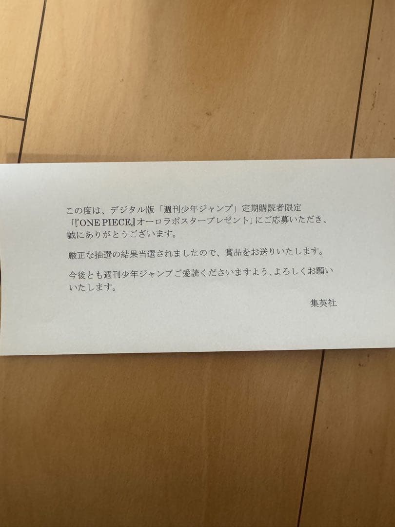 s*a様 ONE PIECE オーロラポスター B2サイズ