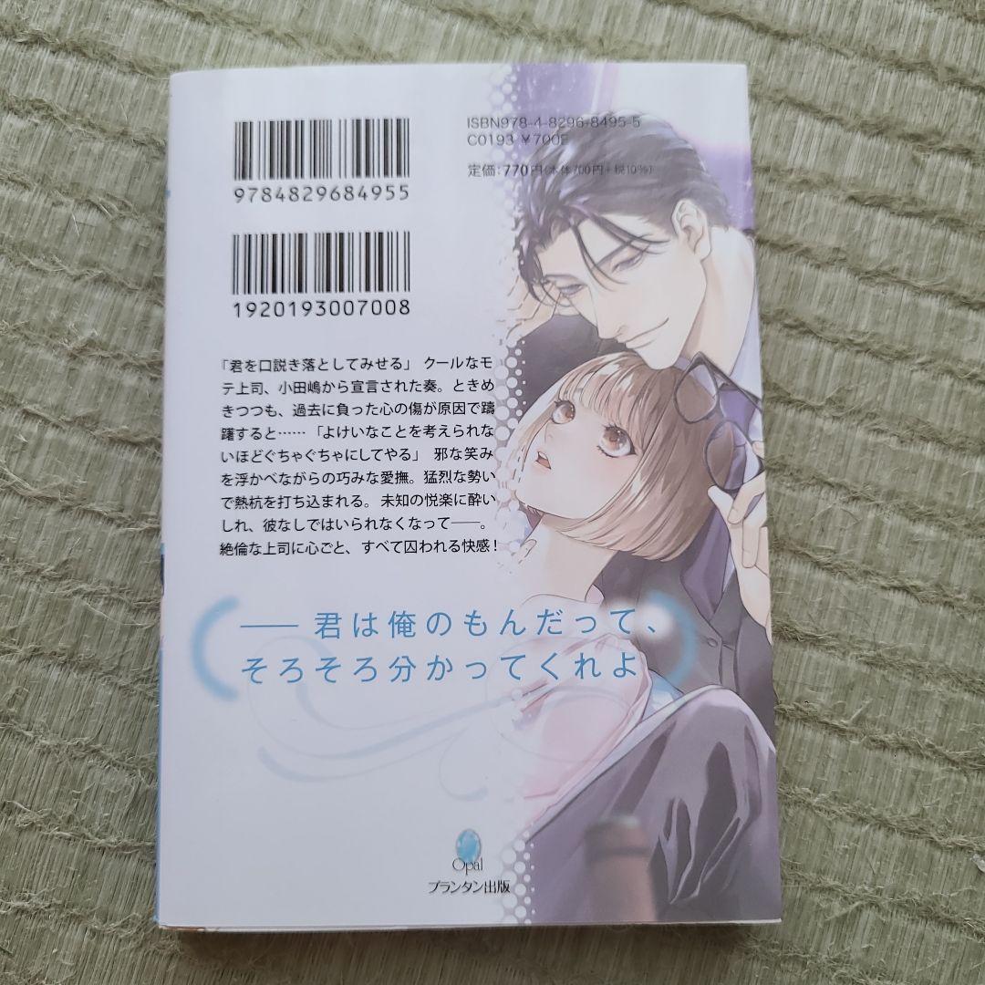 必ず君を堕としてみせる 絶倫モテ上司は臆病女子を逃がさない