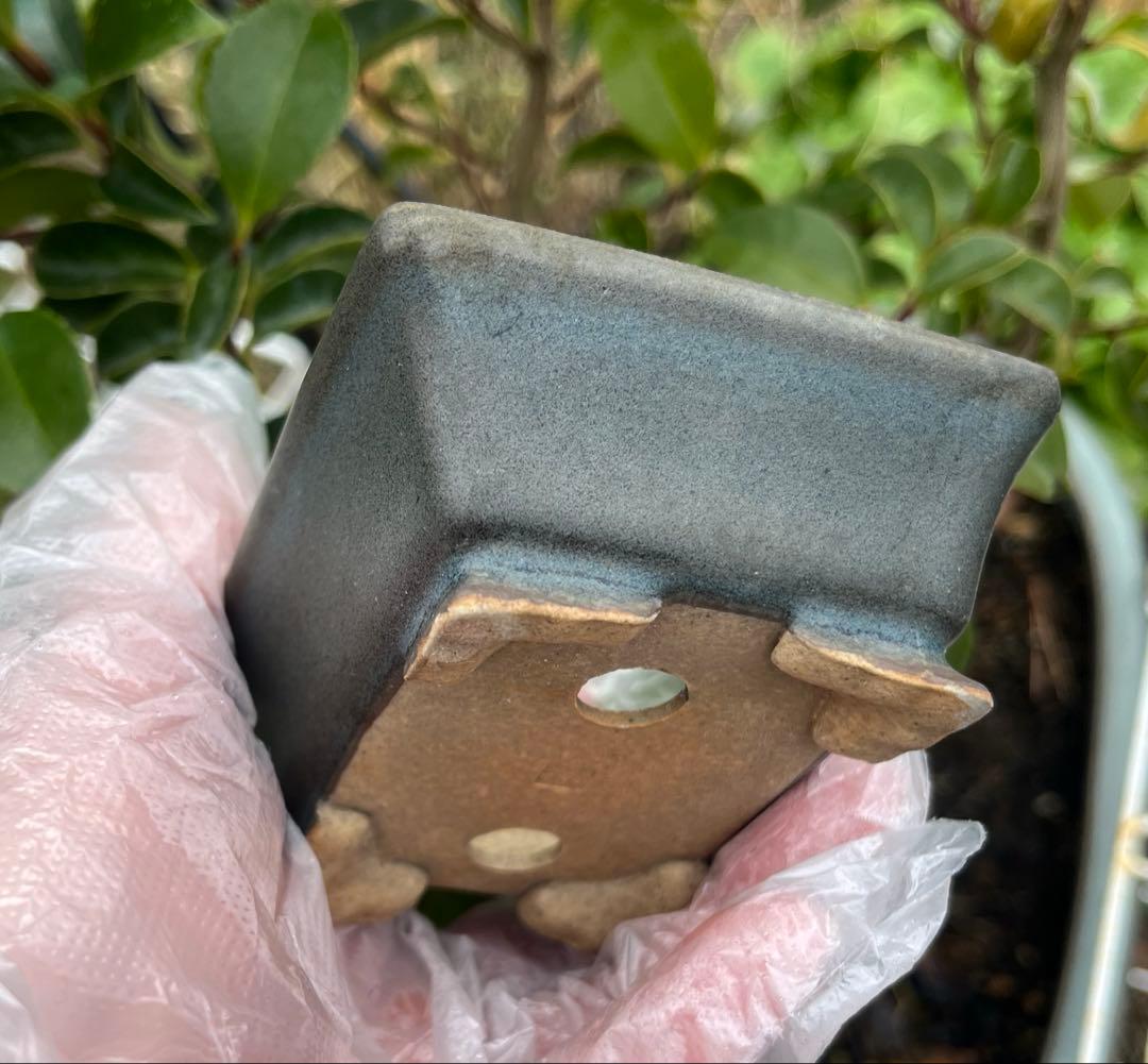 小品盆栽鉢　盆栽鉢　佑泉