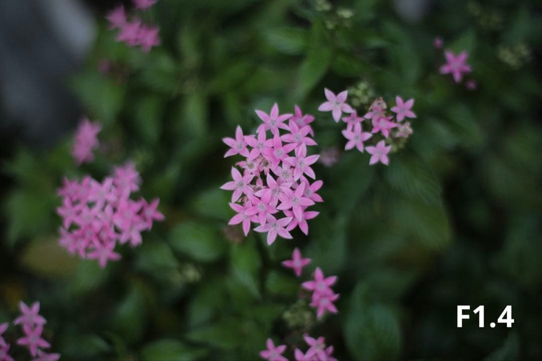 【Kマウント】Carl Zeiss Planar 50mm f/1.4 MMJ