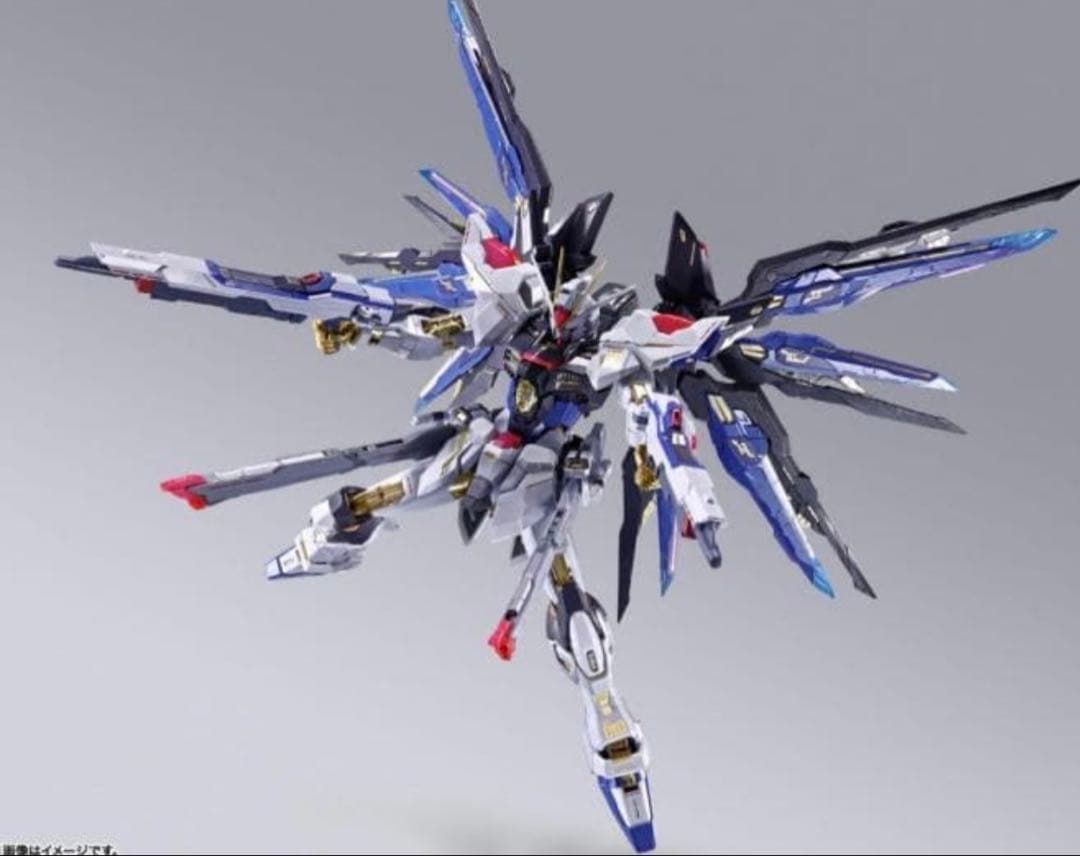 メタルビルド　ストライクフリーダムガンダム　2024 光の翼オプションセット