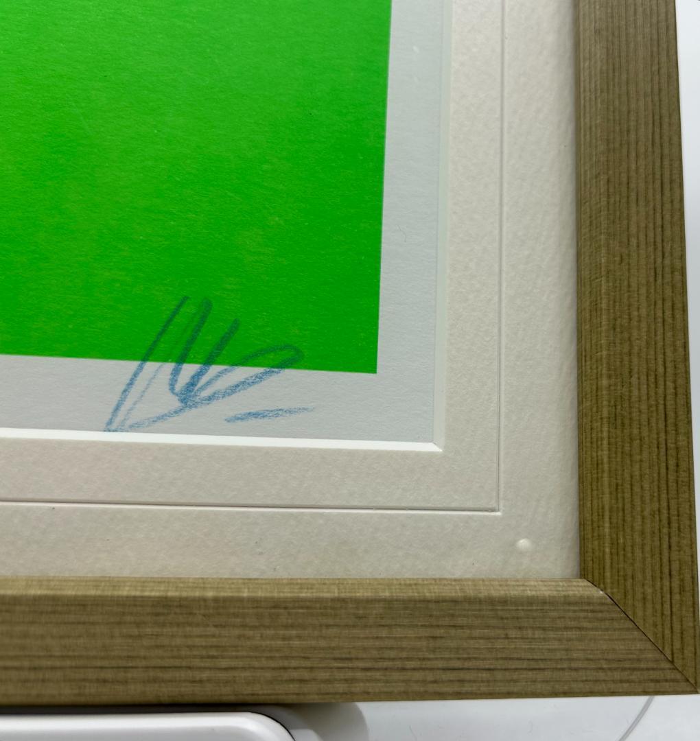 天野タケル 『Venus』複製原画サイン入り NEON GREEN +イラスト集