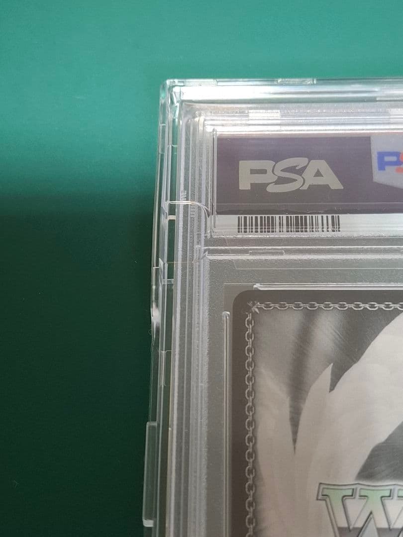 今夜は一緒に SSP SAO PSA10