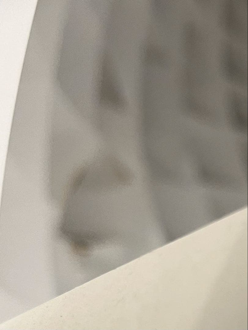 専用Louis Poulsenパテラ　ペンダントライト　直径約60cm