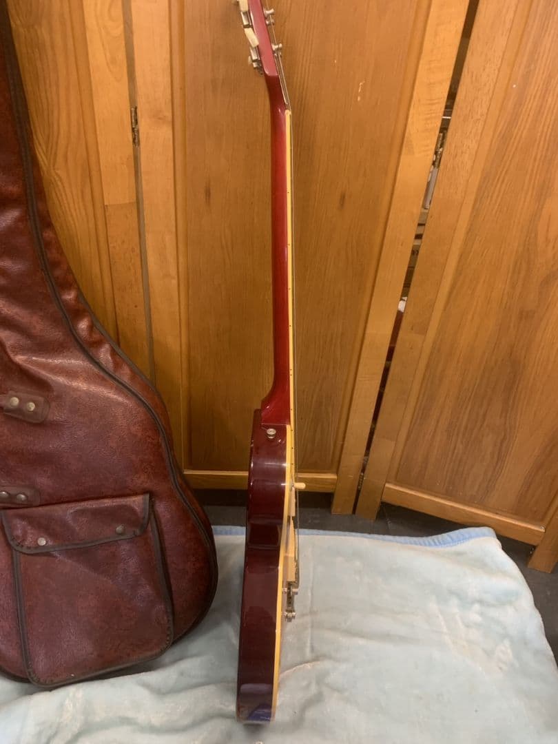 Aria Pro II Leopard エレキギター サンバースト