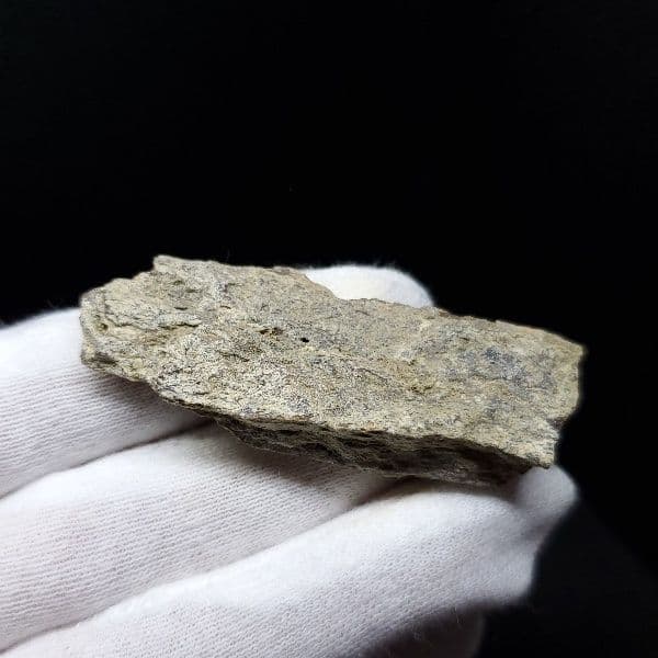 ティラノサウルス 化石 骨 本物 アメリカ産 54.80mm tb87