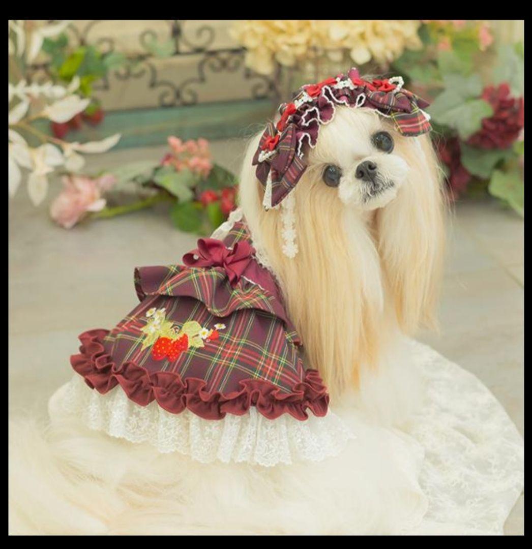きゃんナナ　犬服　レトロいちごワンピースLサイズ